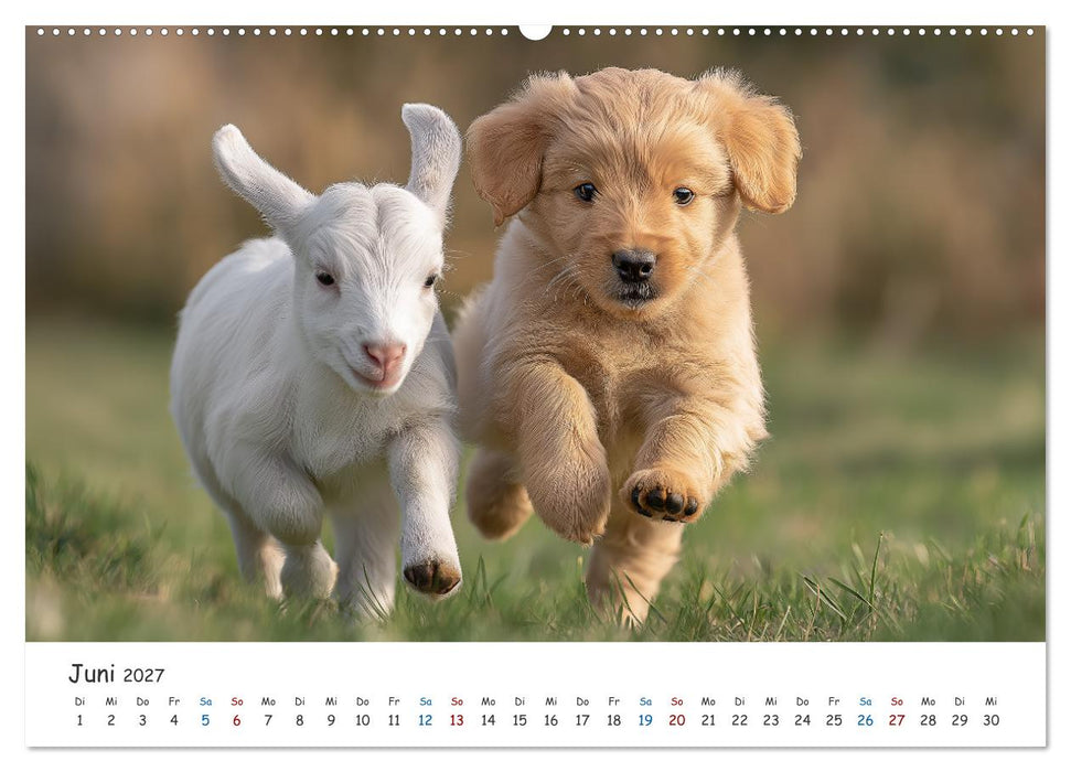 Wenn Tiere Freunde werden (CALVENDO Wandkalender 2027)