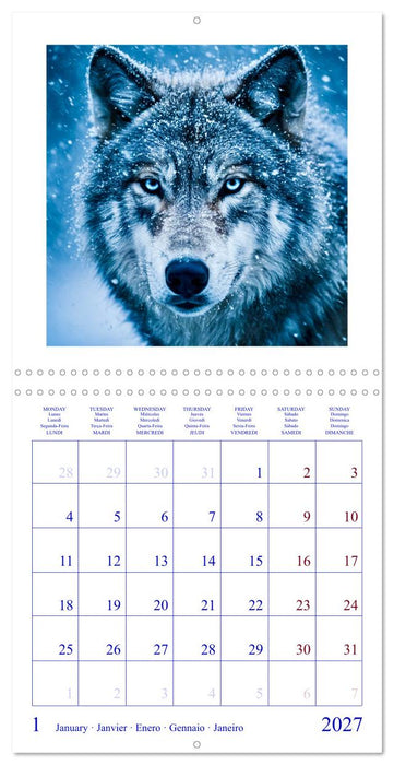 The Forest Fellowship (CALVENDO Monthly Calendar 2027)