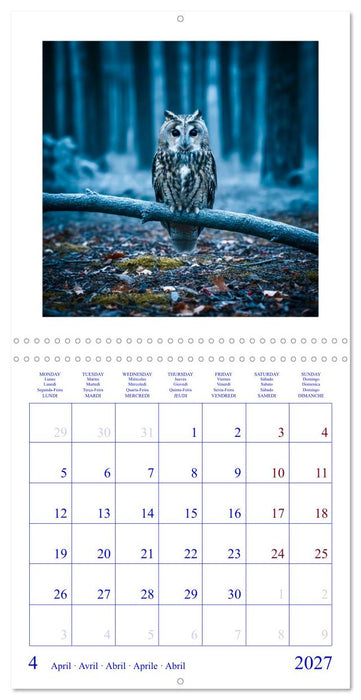 The Forest Fellowship (CALVENDO Monthly Calendar 2027)