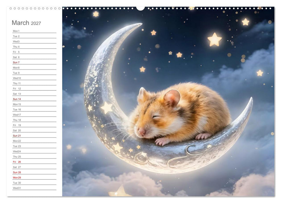 Hamster's Bedtime Calendar - Twelve magical dream worlds (CALVENDO Monthly Calendar 2027)