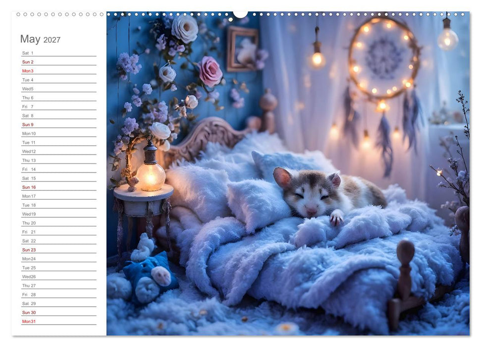 Hamster's Bedtime Calendar - Twelve magical dream worlds (CALVENDO Monthly Calendar 2027)
