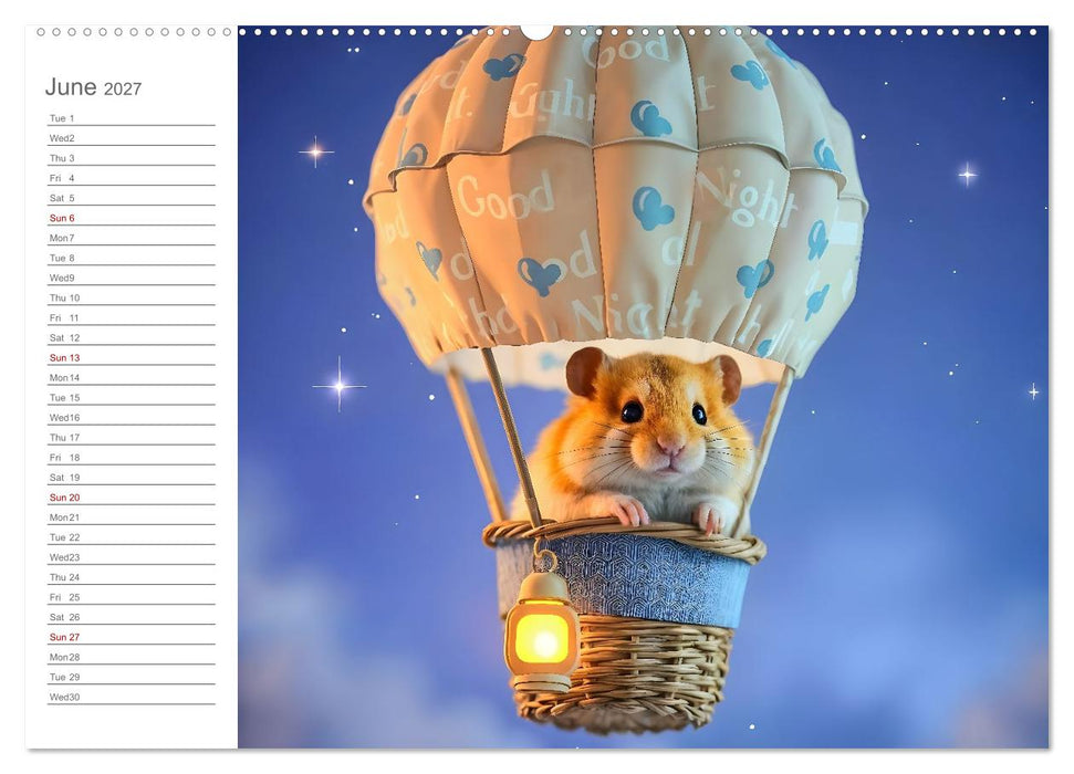 Hamster's Bedtime Calendar - Twelve magical dream worlds (CALVENDO Monthly Calendar 2027)