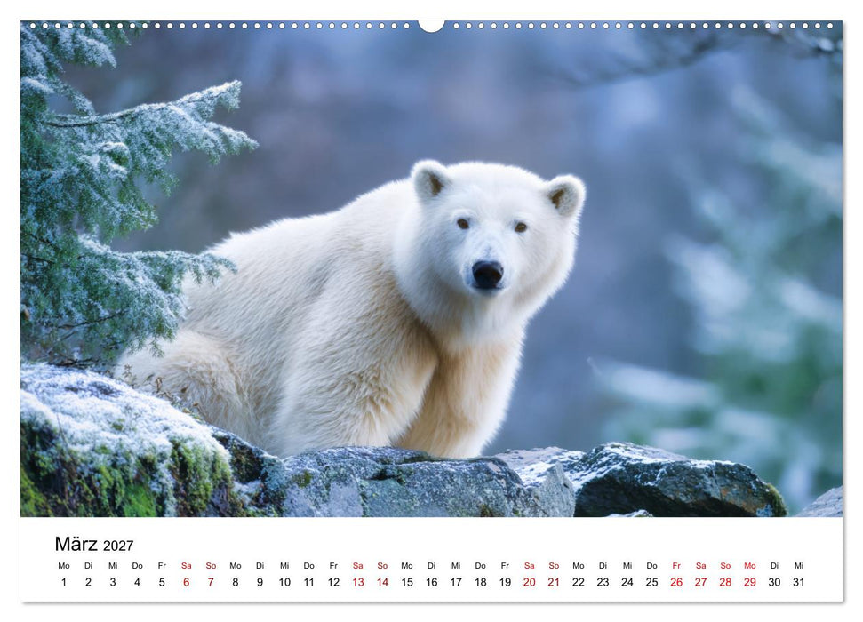 Könige des Nordens - Begegnungen mit Eisbären (CALVENDO Wandkalender 2027)