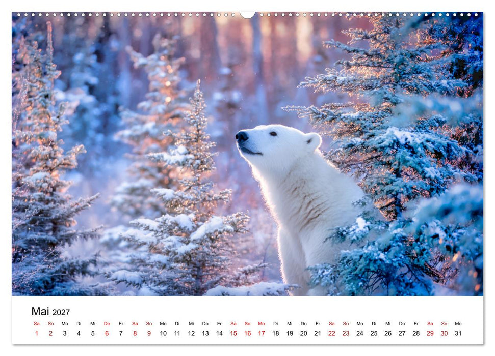 Könige des Nordens - Begegnungen mit Eisbären (CALVENDO Wandkalender 2027)