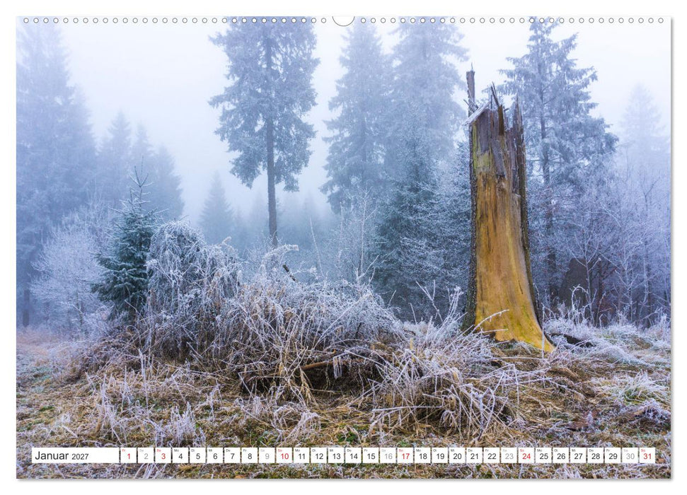 Deutschlands Regionen - der Harz (CALVENDO Premium Wandkalender 2027)