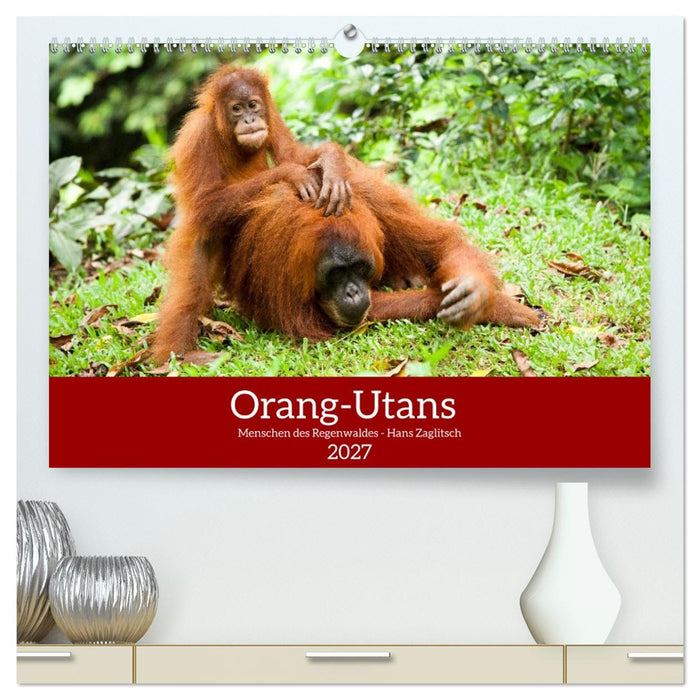 Orang-Utans - Menschen des Regenwaldes (CALVENDO Premium Wandkalender 2027)