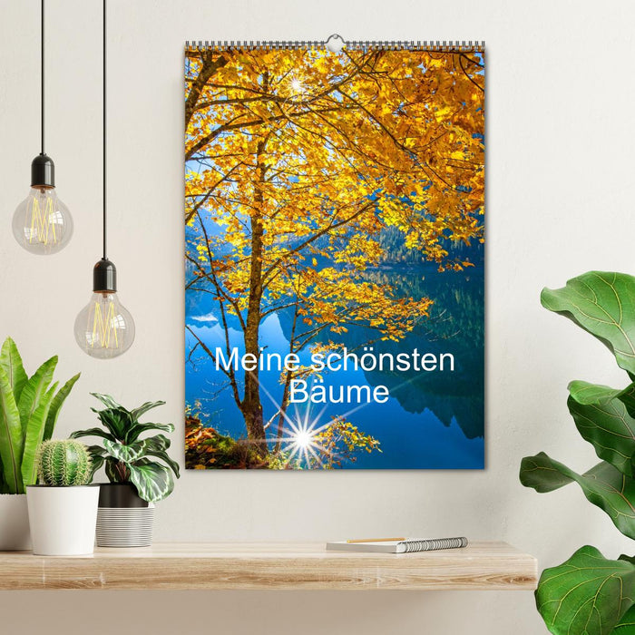 Meine schönsten Bäume (CALVENDO Wandkalender 2027)