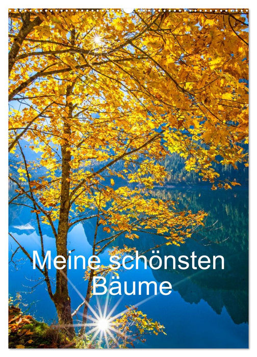 Meine schönsten Bäume (CALVENDO Wandkalender 2027)