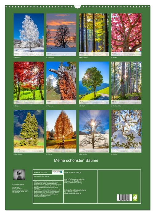 Meine schönsten Bäume (CALVENDO Wandkalender 2027)
