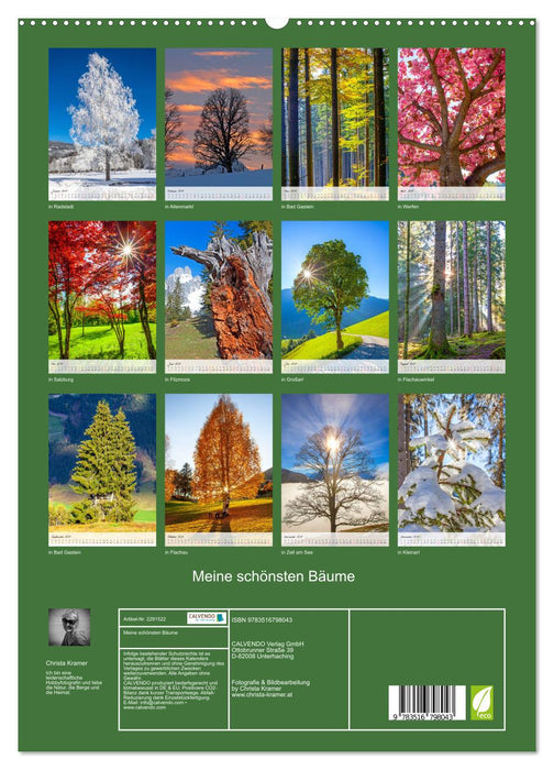 Meine schönsten Bäume (CALVENDO Premium Wandkalender 2027)