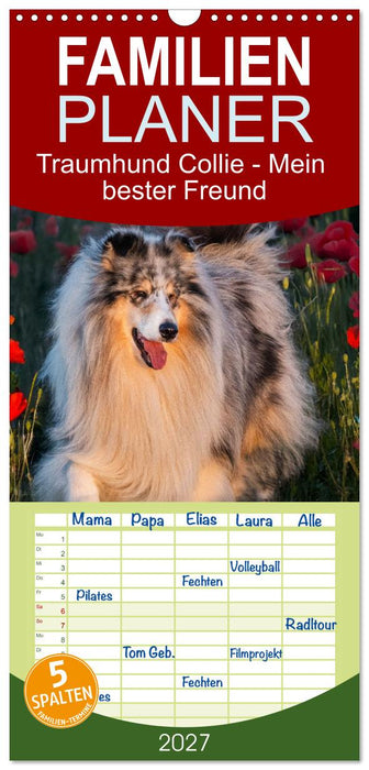 Traumhund Collie - Mein bester Freund (CALVENDO Familienplaner 2027)