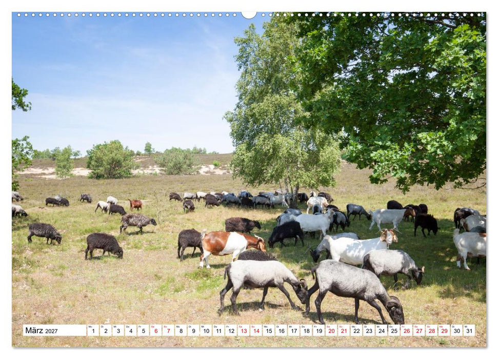 Radland Deutschland - Lüneburger Heide (CALVENDO Premium Wandkalender 2027)