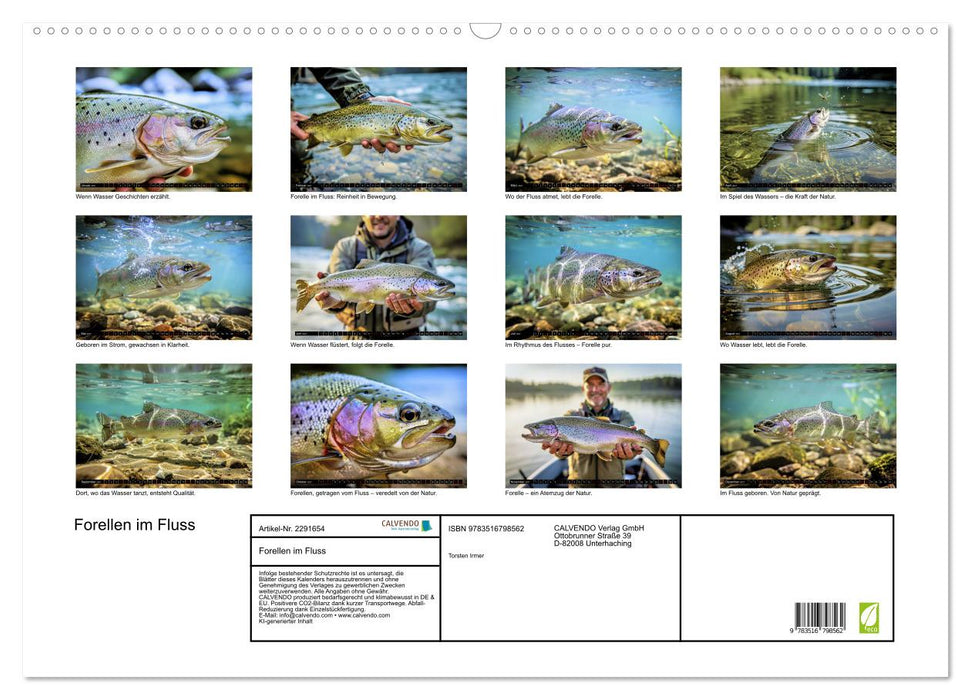 Forellen im Fluss (CALVENDO Wandkalender 2027)