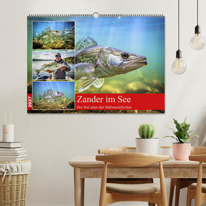 Zander im See (CALVENDO Wandkalender 2027)