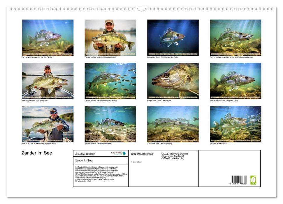 Zander im See (CALVENDO Wandkalender 2027)