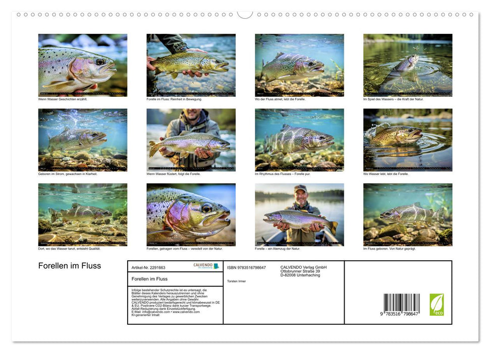 Forellen im Fluss (CALVENDO Premium Wandkalender 2027)