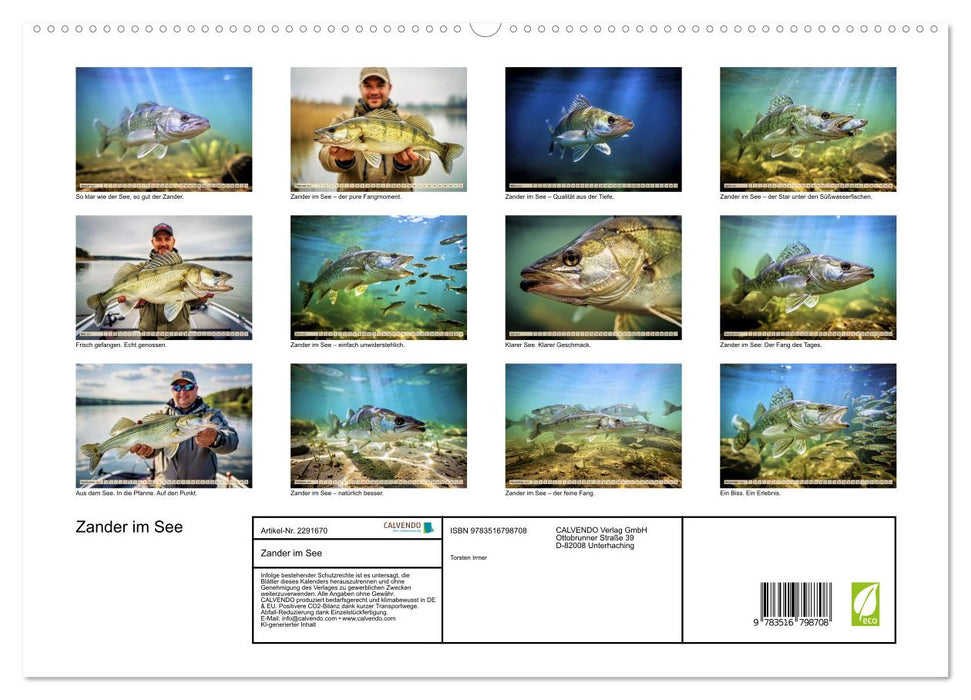 Zander im See (CALVENDO Premium Wandkalender 2027)