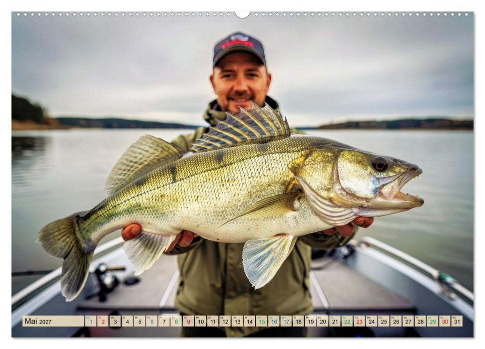Zander im See (CALVENDO Premium Wandkalender 2027)