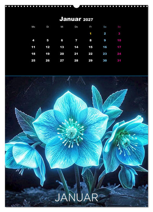 Neon Botanicals - Flora im Lichtrausch (CALVENDO Premium Wandkalender 2027)