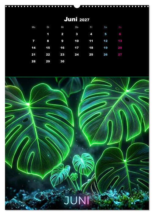 Neon Botanicals - Flora im Lichtrausch (CALVENDO Premium Wandkalender 2027)