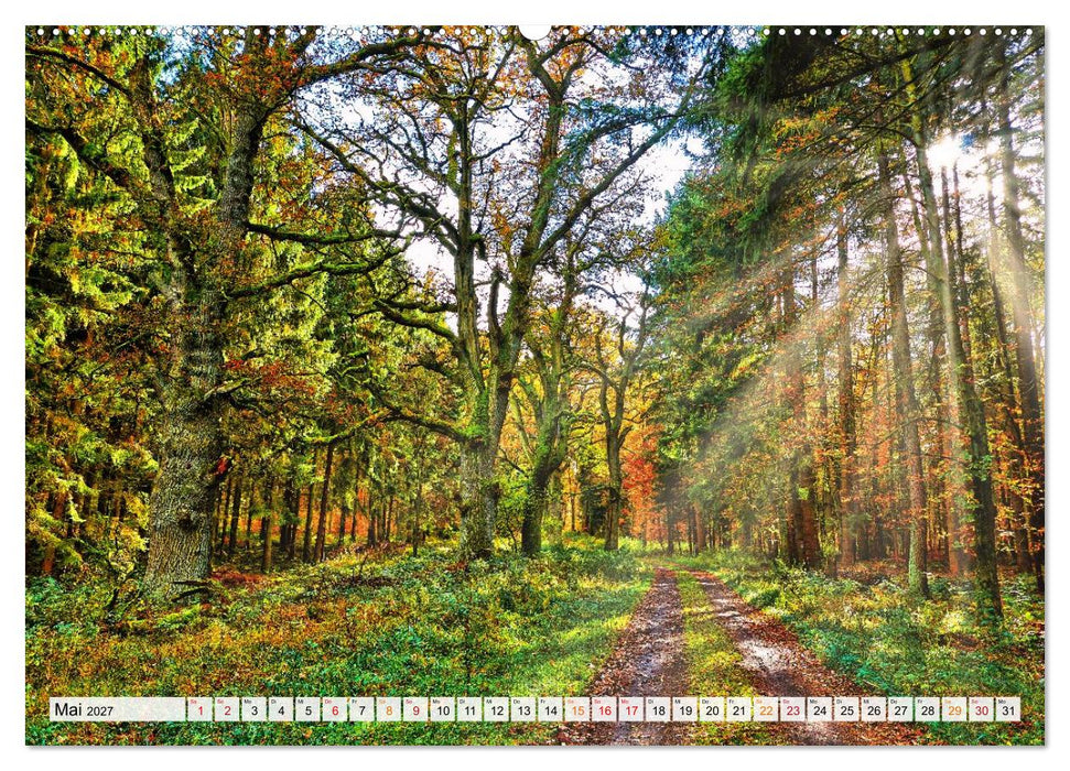 Naturpark Reinhardswald - Wo die Sababurg auf die Weser trifft (CALVENDO Wandkalender 2027)