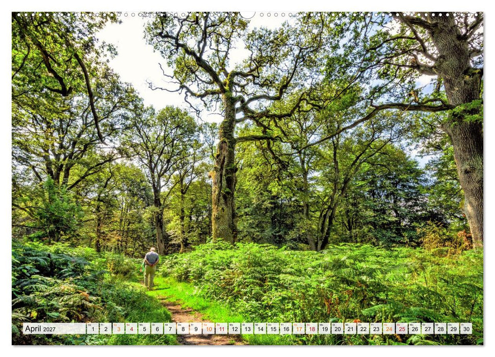 Naturpark Reinhardswald - Wo die Sababurg auf die Weser trifft (CALVENDO Premium Wandkalender 2027)
