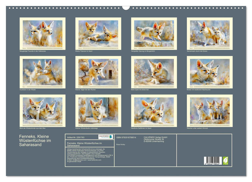 Fenneks. Kleine Wüstenfüchse im Saharasand (CALVENDO Wandkalender 2027)