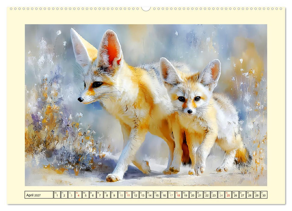 Fenneks. Kleine Wüstenfüchse im Saharasand (CALVENDO Wandkalender 2027)