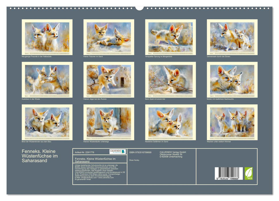 Fenneks. Kleine Wüstenfüchse im Saharasand (CALVENDO Premium Wandkalender 2027)