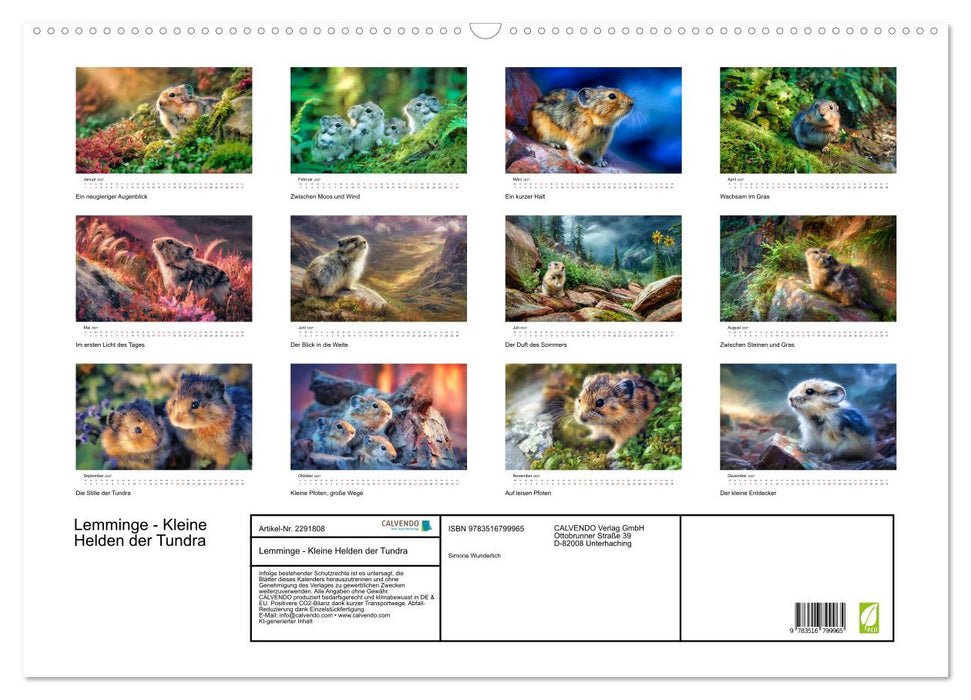 Lemminge - Kleine Helden der Tundra (CALVENDO Wandkalender 2027)