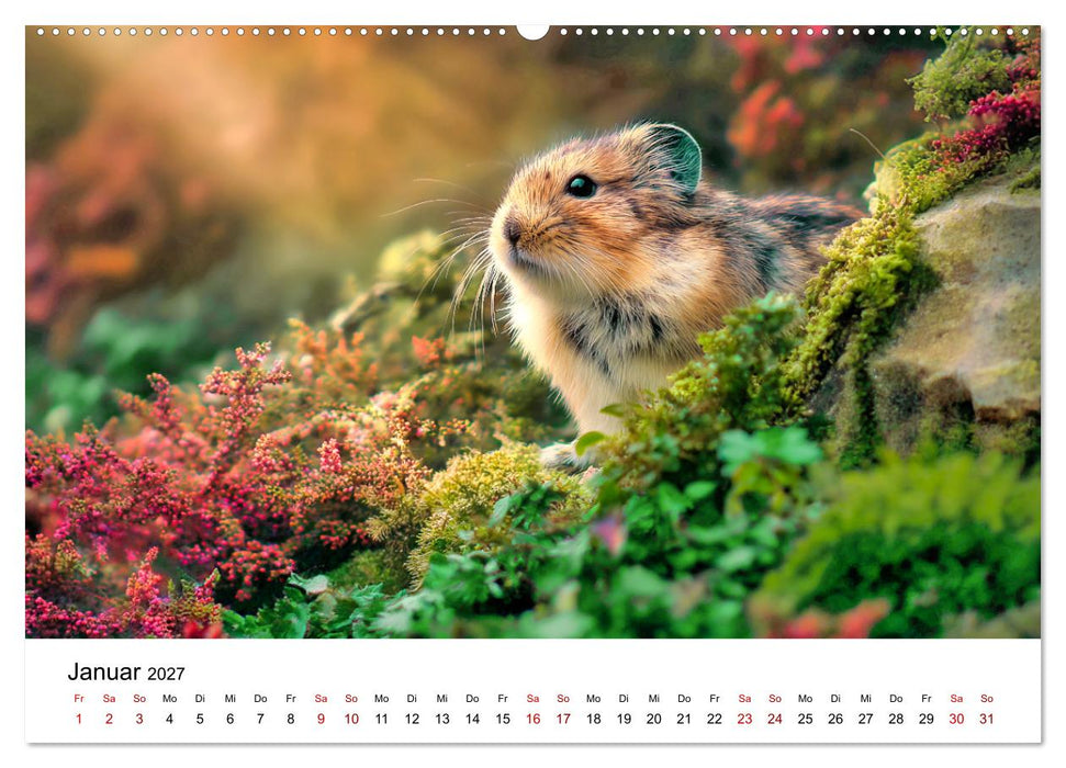 Lemminge - Kleine Helden der Tundra (CALVENDO Wandkalender 2027)