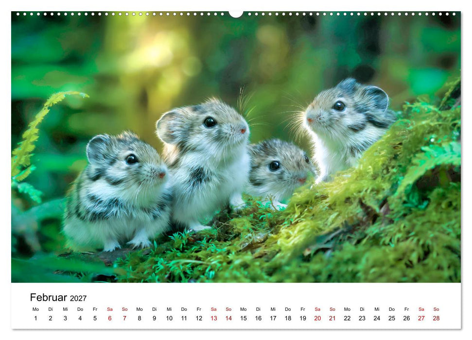Lemminge - Kleine Helden der Tundra (CALVENDO Wandkalender 2027)