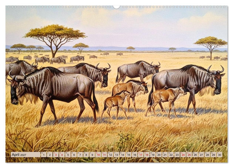 Afrikas Tiere wie aus alten Büchern (CALVENDO Wandkalender 2027)