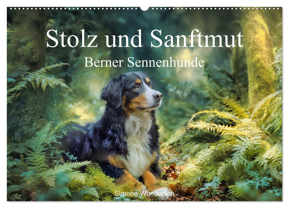 Stolz und Sanftmut - Berner Sennenhunde (CALVENDO Wandkalender 2027)