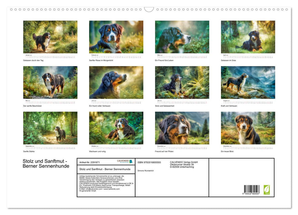 Stolz und Sanftmut - Berner Sennenhunde (CALVENDO Wandkalender 2027)