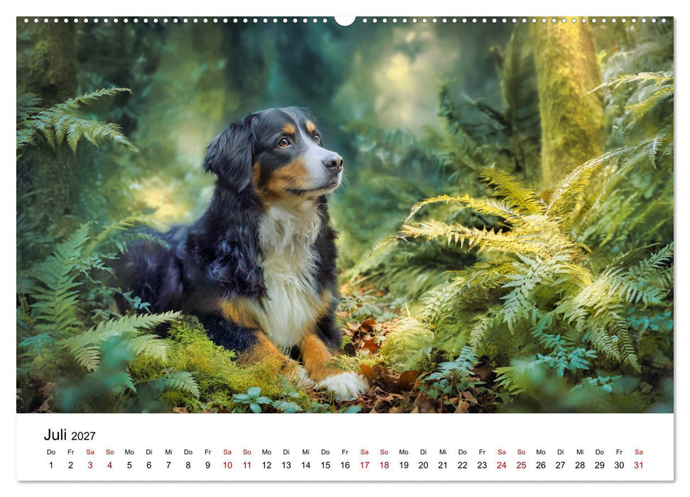 Stolz und Sanftmut - Berner Sennenhunde (CALVENDO Premium Wandkalender 2027)