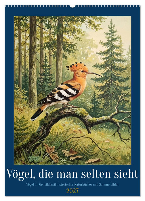 Vögel, die man selten sieht (CALVENDO Wandkalender 2027)