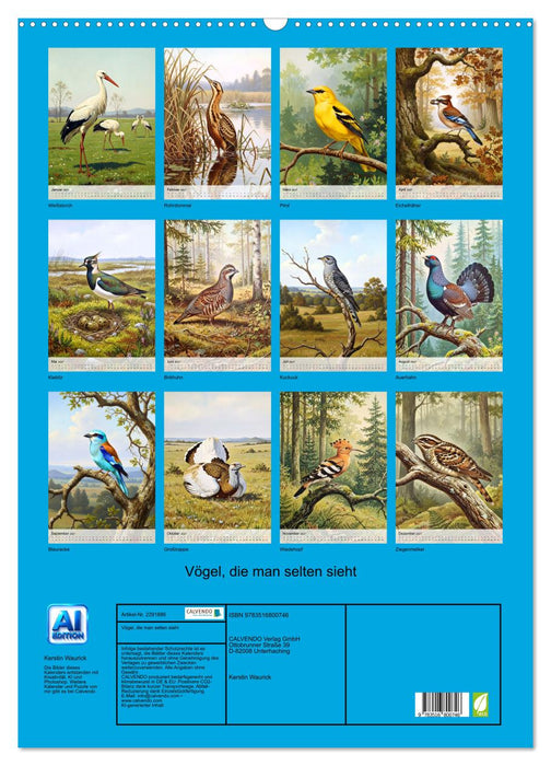 Vögel, die man selten sieht (CALVENDO Wandkalender 2027)
