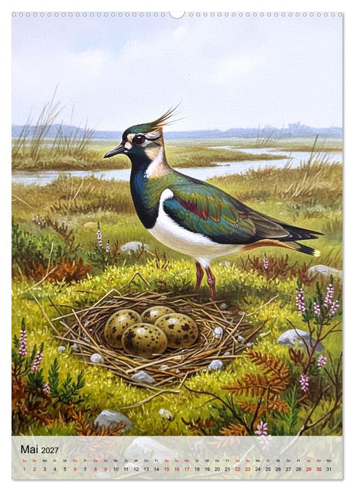 Vögel, die man selten sieht (CALVENDO Wandkalender 2027)