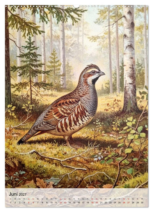 Vögel, die man selten sieht (CALVENDO Wandkalender 2027)
