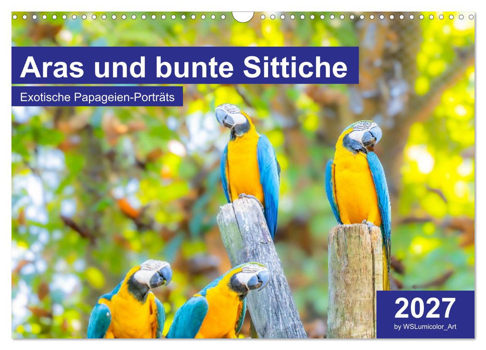 Aras und bunte Sittiche: Exotische Papageien-Porträts (CALVENDO Wandkalender 2027)