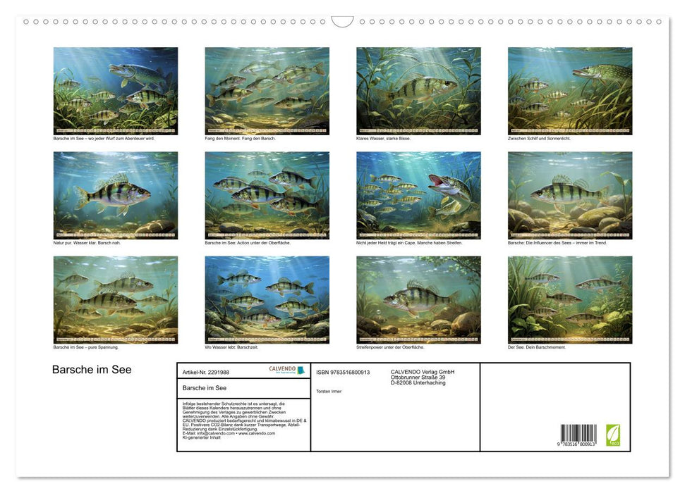 Barsche im See (CALVENDO Wandkalender 2027)