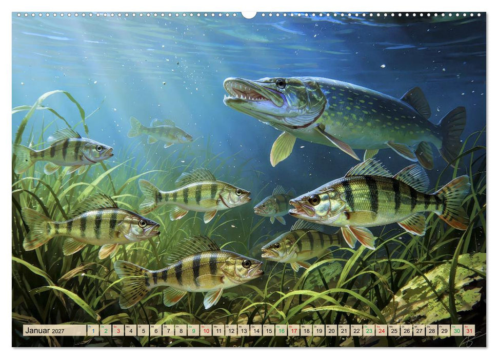 Barsche im See (CALVENDO Wandkalender 2027)