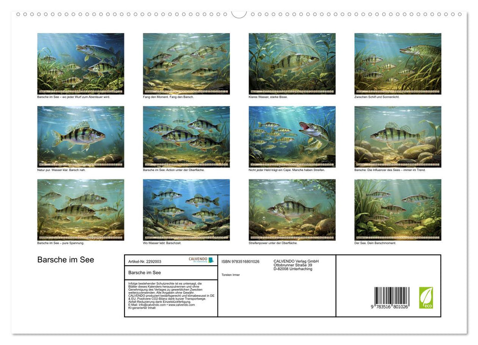 Barsche im See (CALVENDO Premium Wandkalender 2027)
