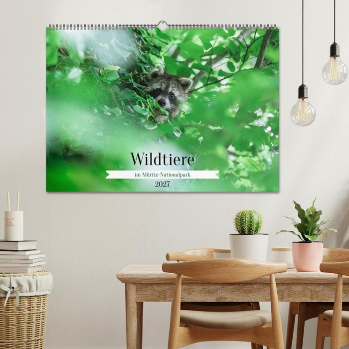 Wildtiere im Müritz-Nationalpark (CALVENDO Wandkalender 2027)