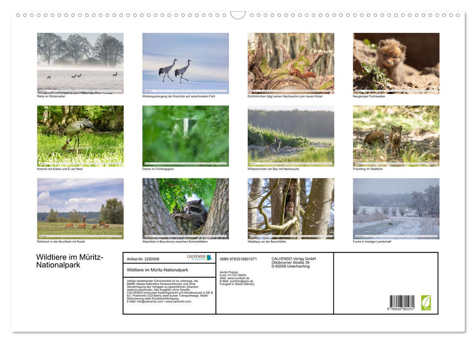 Wildtiere im Müritz-Nationalpark (CALVENDO Wandkalender 2027)