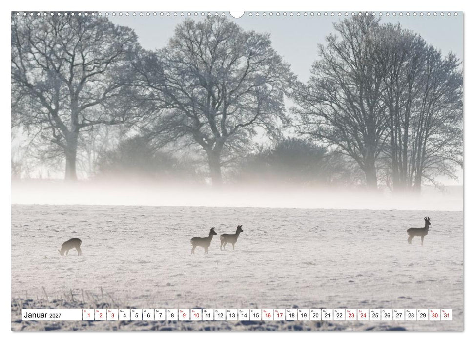 Wildtiere im Müritz-Nationalpark (CALVENDO Wandkalender 2027)