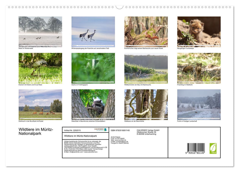 Wildtiere im Müritz-Nationalpark (CALVENDO Premium Wandkalender 2027)