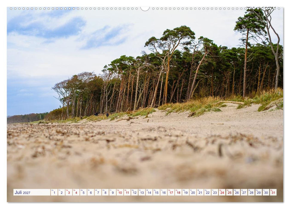 feeling Ostsee (CALVENDO Premium Wandkalender 2027)