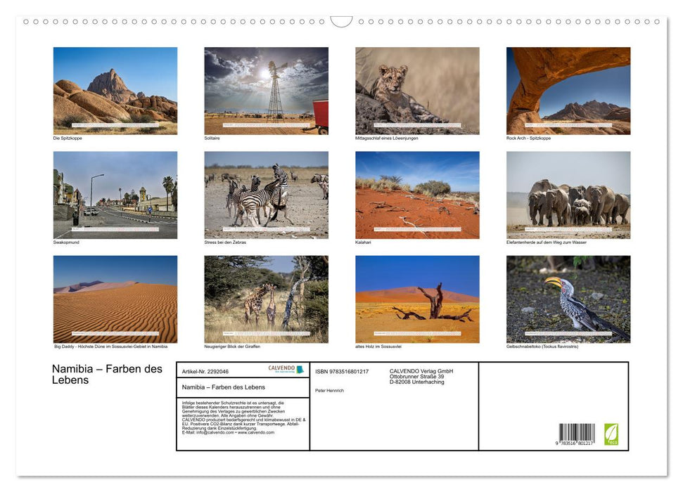 Namibia – Farben des Lebens (CALVENDO Wandkalender 2027)